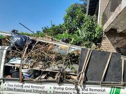 Best Electronics and E-Waste Disposal  in Dutch Island, GA